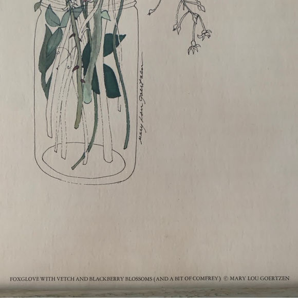 Mary Lou Goertzen Litho Foxglove,Vetch,Blackberry Blossoms/Comfrey 17”x13” - Picture 14 of 14